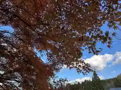 大神神社(奈良県)