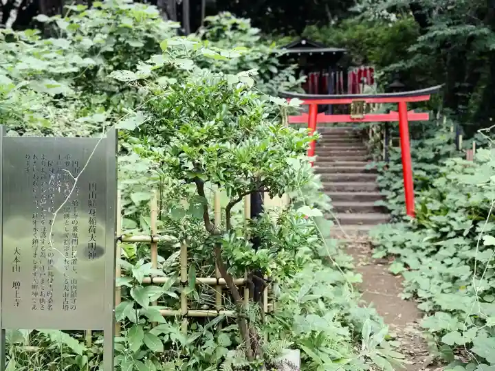 円山随身稲荷大明神(東京都)