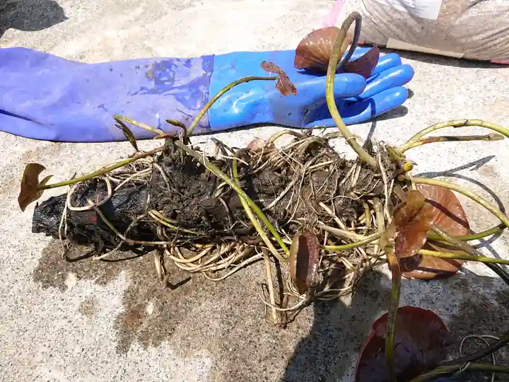 極楽山 浄土寺(北海道)