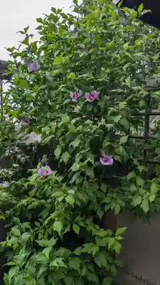 御珍宝神社の自然