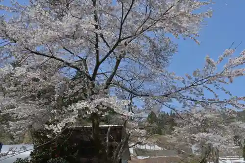 竹之高地不動社(新潟県)
