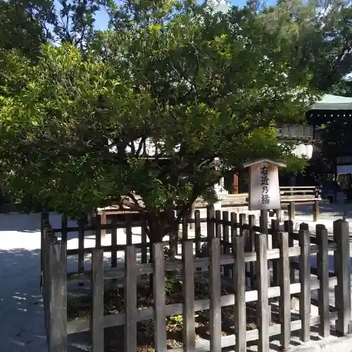 白峯神宮の{uncategorized: "未分類", other: "その他", undefined: "問題あり", building: "その他建物", grave: "お墓", sacred_gate: "鳥居", guardian: "狛犬", statue: "像", buddha: "仏像", history: "歴史", nature: "自然", garden: "庭園", animal: "動物", pagoda: "塔", temizu: "手水舎", mountain_gate: "山門・神門", sanctuary: "本殿・本堂", subordinate: "末社・摂社", art: "芸術", scenery: "景色", jizo: "地蔵", ema: "絵馬", goshuin: "御朱印", omikuji: "おみくじ", items: "授与品その他", amulet: "お守り", goshuincho: "御朱印帳", eats: "食事", festival: "お祭り", votive_dance: "神楽", shichigosan: "七五三参", wedding: "結婚式", experience: "体験その他", initially: "初詣", around: "周辺", anti_infection: "感染症対策"}