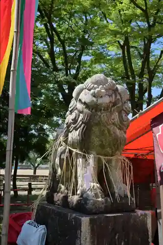 高彦根神社の狛犬