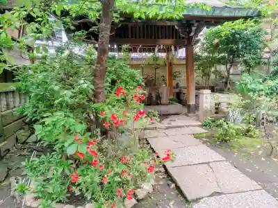 小野照崎神社の{uncategorized: "未分類", other: "その他", undefined: "問題あり", building: "その他建物", grave: "お墓", sacred_gate: "鳥居", guardian: "狛犬", statue: "像", buddha: "仏像", history: "歴史", nature: "自然", garden: "庭園", animal: "動物", pagoda: "塔", temizu: "手水舎", mountain_gate: "山門・神門", sanctuary: "本殿・本堂", subordinate: "末社・摂社", art: "芸術", scenery: "景色", jizo: "地蔵", ema: "絵馬", goshuin: "御朱印", omikuji: "おみくじ", items: "授与品その他", amulet: "お守り", goshuincho: "御朱印帳", eats: "食事", festival: "お祭り", votive_dance: "神楽", shichigosan: "七五三参", wedding: "結婚式", experience: "体験その他", initially: "初詣", around: "周辺", anti_infection: "感染症対策"}