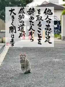 専念寺(大阪府)(2023年05月13日(土) 20時08分03秒投稿)