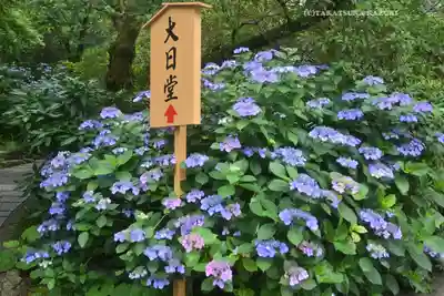 高幡不動尊　金剛寺(東京都)