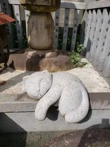 白山神社の狛犬