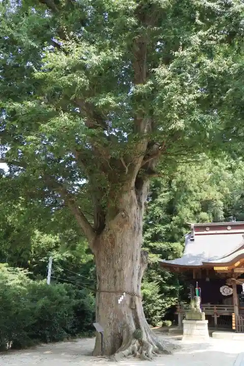 素鵞神社(茨城県)