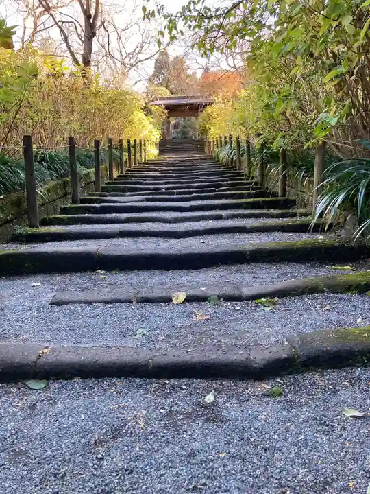 明月院の山門・神門