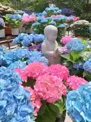 南法華寺（壷阪寺）(奈良県)