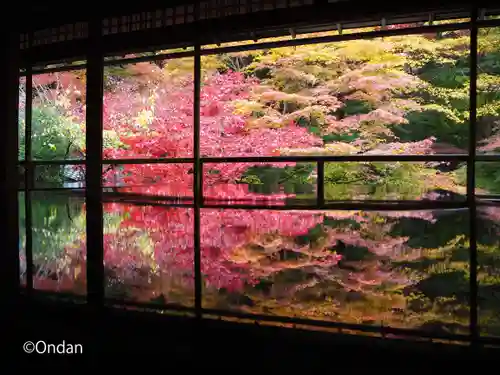 光明寺瑠璃光院の庭園