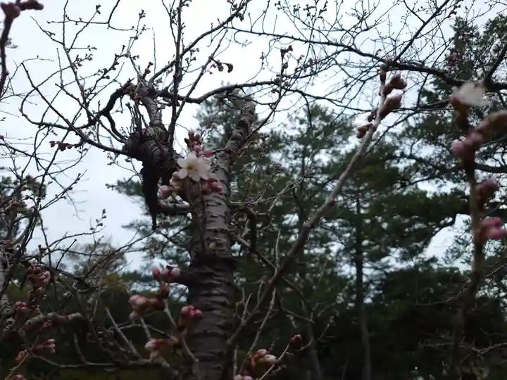 出雲大社(島根県)