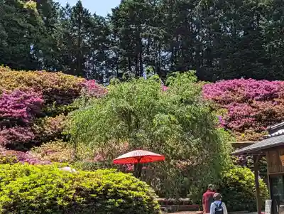 三室戸寺(京都府)