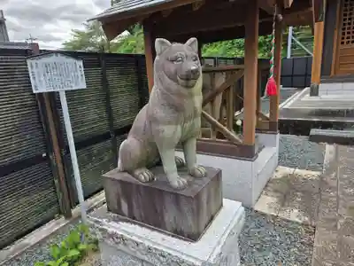 黒犬神社(静岡県)