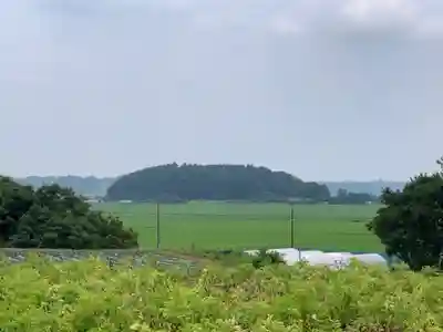 八幡大神(千葉県)