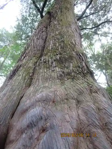 伊勢神宮内宮（皇大神宮）の自然