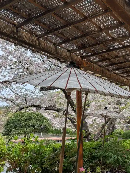 鶴岡八幡宮の庭園