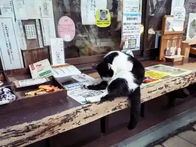 王子神社(徳島県)