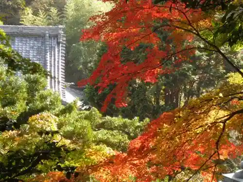 安國論寺(安国論寺)の自然