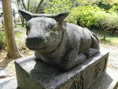 逆川神社の狛犬