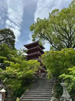 竹林寺(高知県)