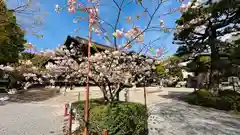 大報恩寺（千本釈迦堂）(京都府)