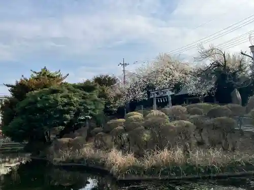 箭弓稲荷神社(埼玉県)
