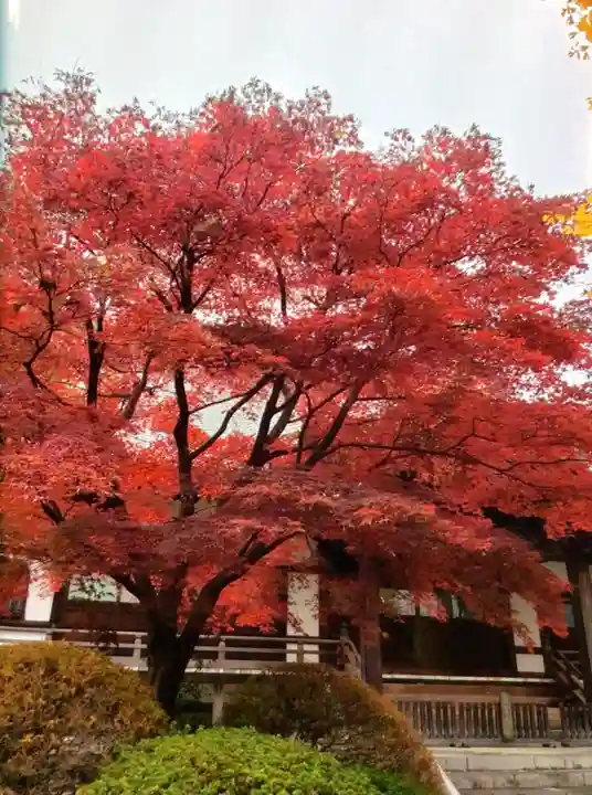 高円寺(東京都)