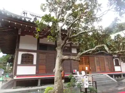 佛日庵の本殿・本堂