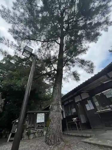 三輪神社(岐阜県)