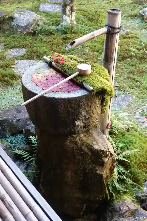 柳谷観音 楊谷寺の庭園