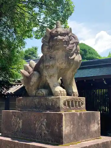 御霊神社（上御霊神社）の狛犬