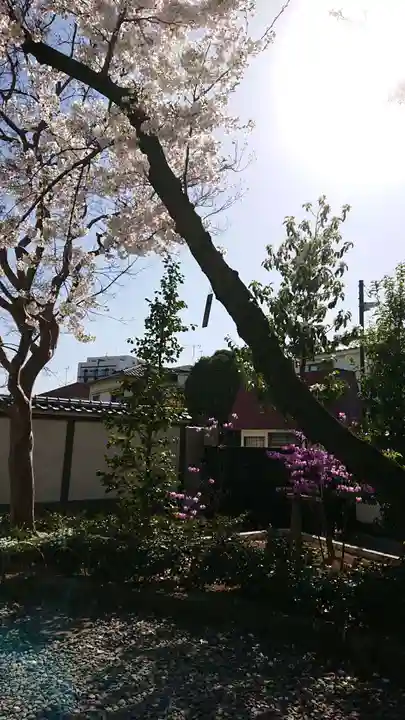 西新井大師総持寺の自然