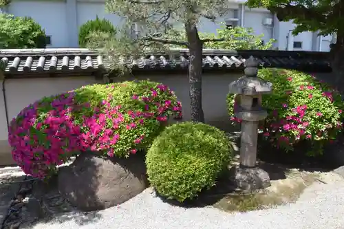 観智院（東寺子院）の庭園