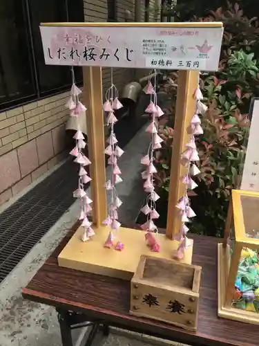 桜神宮のおみくじ