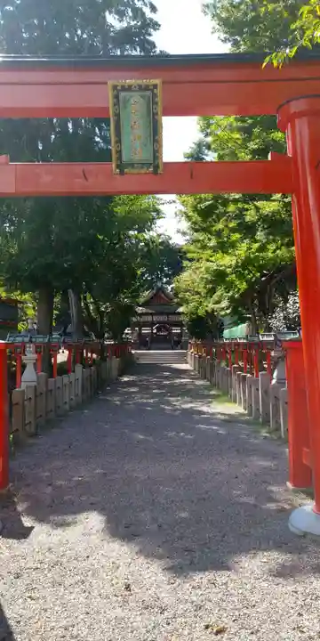 若松神社の鳥居