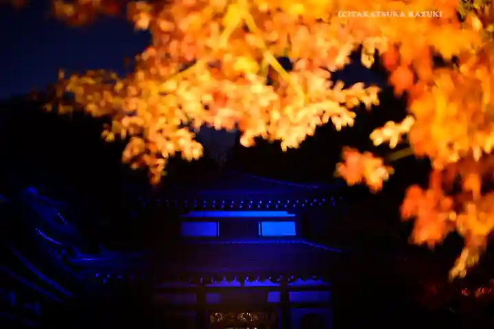 長谷寺(神奈川県)