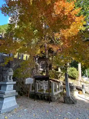 伊賀東照宮の自然