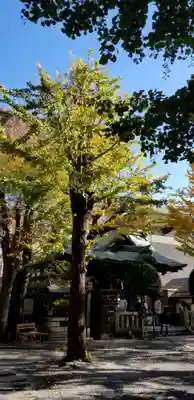 小野照崎神社のその他建物