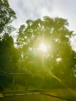 大宮神社の自然
