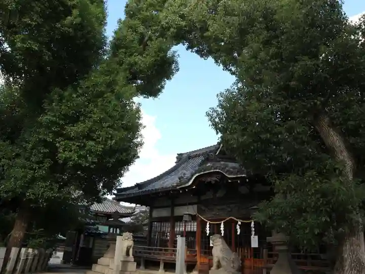 式内楯原神社の本殿・本堂
