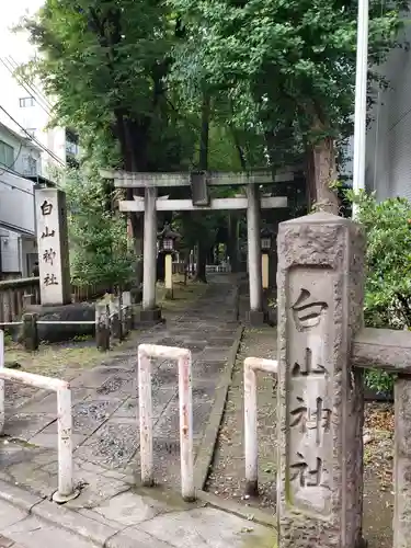 荻窪白山神社の鳥居
