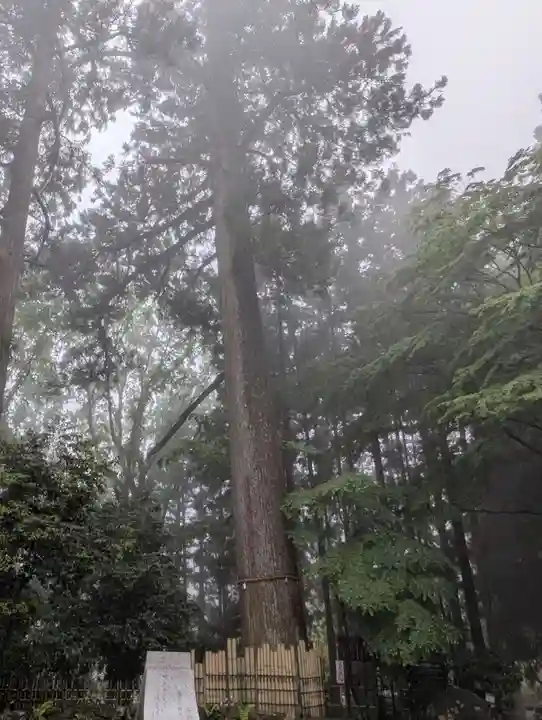 水澤寺(水澤観世音)(群馬県)
