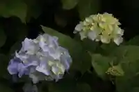 国宝 大法寺の自然