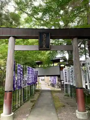 白金龍王社(愛知県)