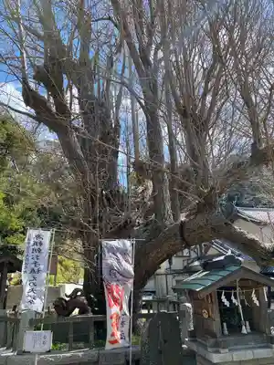 海南神社(神奈川県)
