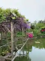 亀戸天神社の庭園