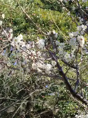 根岸八幡神社(神奈川県)