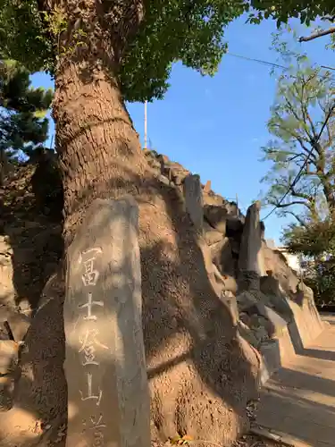 品川神社の自然
