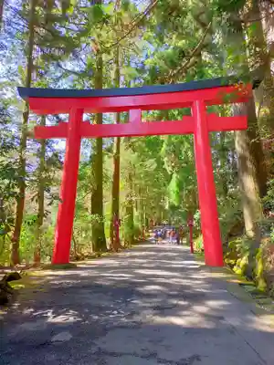 箱根神社(神奈川県)